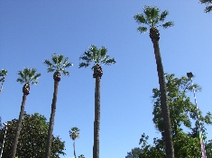 CIMG5675.JPG
